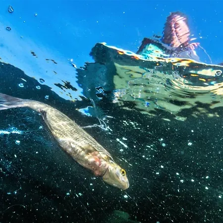 Lakeland Karelia Fisherman's Paradise Kesälahti