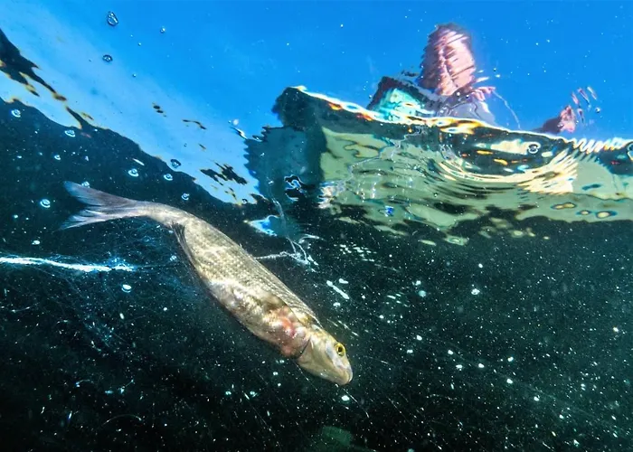 Lakeland Karelia Fisherman's Paradise Kesälahti